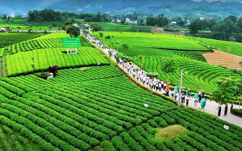 Du khách khám phá tiềm năng du lịch "Đệ nhất danh trà" và di sản lịch sử phong phú của tỉnh Thái Nguyên. Ảnh: Quốc Tùng