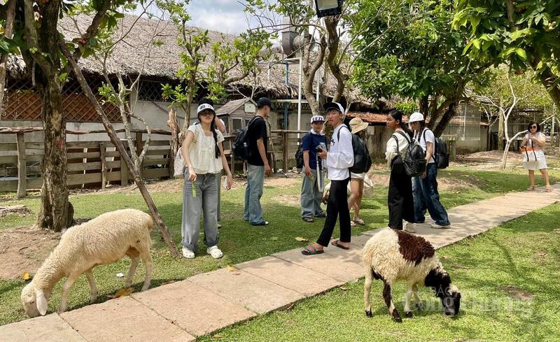 Không khí rộn ràng trong dịp lễ không chỉ mang lại niềm vui cho người dân mà còn là tín hiệu tích cực cho ngành du lịch địa phương.