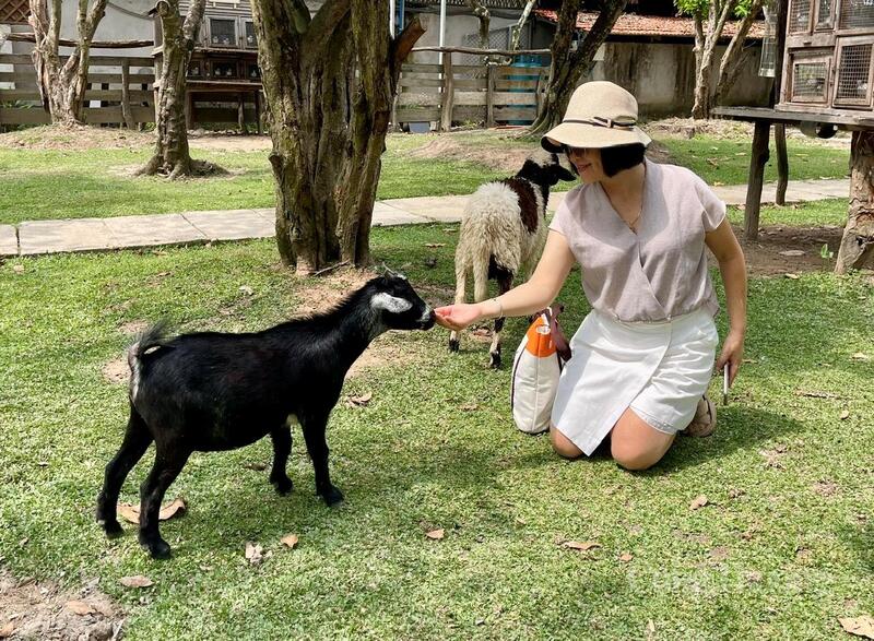 Chị Nguyễn Thị Mai, du khách đến từ TP. Hồ Chí Minh, chia sẻ: “Gia đình tôi chọn TP. Cần Thơ cho kỳ nghỉ lễ vì không gian thoáng đãng và nhiều hoạt động thú vị. Dù lượng khách khá đông nhưng không khí rất vui, dịch vụ tương đối tốt, giá cả hợp lý.”