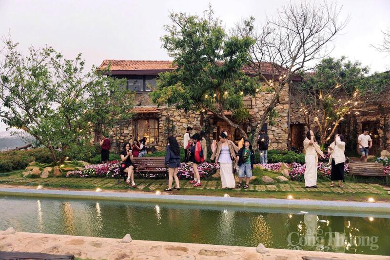 Đông đảo du khách check-in tại một điểm du lịch tại phường Xuân Trường - Đà Lạt. Ảnh: Lê Sơn