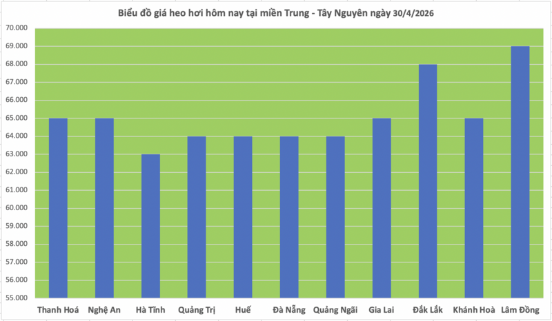 Giá heo hơi hôm nay 30/4/2026: Cao nhất 69.000 đồng/kg - 2