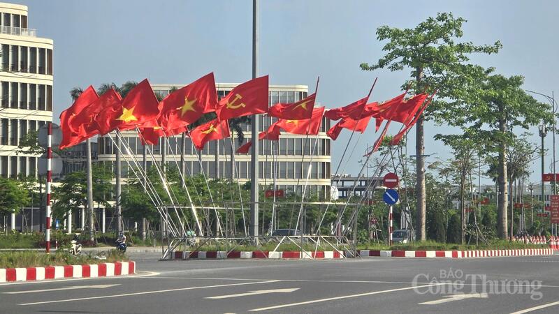 Các tuyến đường TP. Hải Phòng rực rỡ cờ hoa.