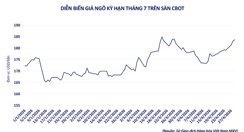 Diễn biến giá ngô kỳ hạn tháng 7 trên sàn CBOT . Nguồn: MXV