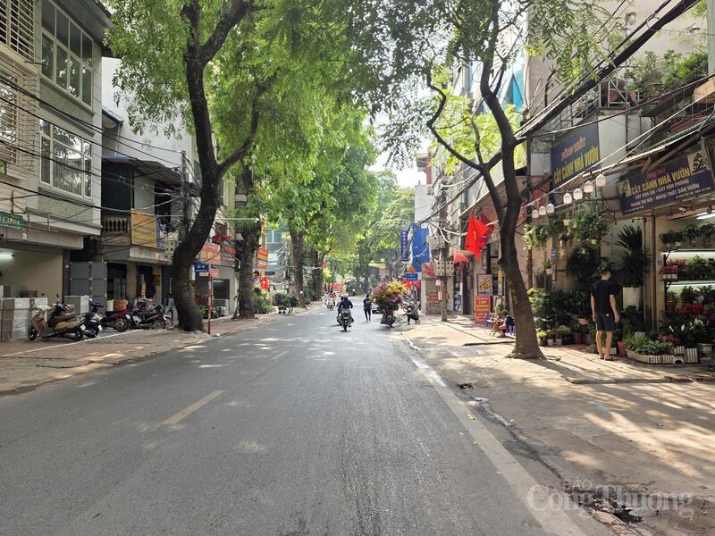 Phố cây cảnh Hoàng Hoa Thám không còn cảnh đông đúc tấp nập như ngày thường.