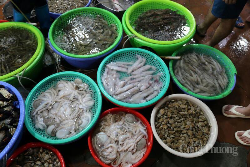 Hải sản tươi sống giữ trọn vị ngọt tự nhiên của biển, mang đến hương vị tươi ngon, đậm đà trong từng món ăn được nhiều người chọn mua.