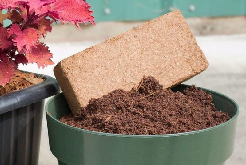 Phần vỏ dừa lại có giá trị rất lớn nếu biết cách xử lý. Ảnh minh họa