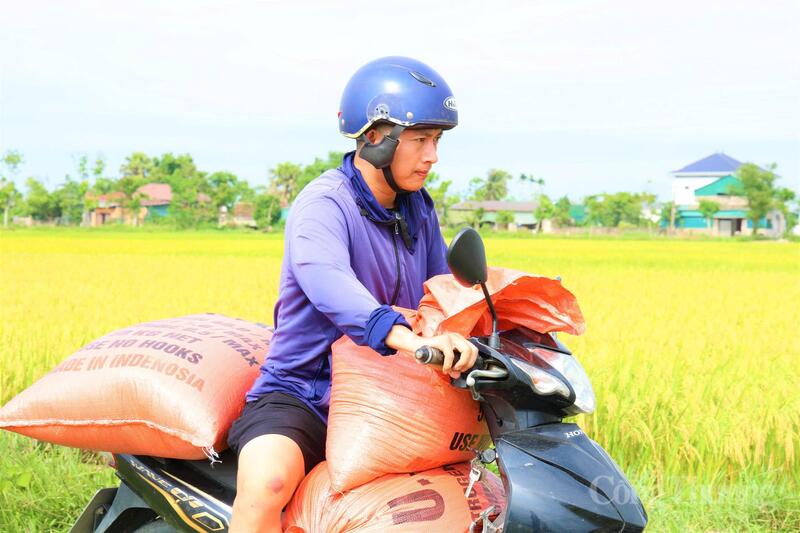 Đặc biệt, việc đưa vào thử nghiệm và nhân rộng các bộ giống mới đã cho thấy hiệu quả rõ rệt. Những giống lúa như Nếp 98, Bắc Thịnh, Hana số 7 tiếp tục khẳng định được ưu thế trên đồng đất Hà Tĩnh với năng suất đạt từ 2,8 – 3 tạ/sào.