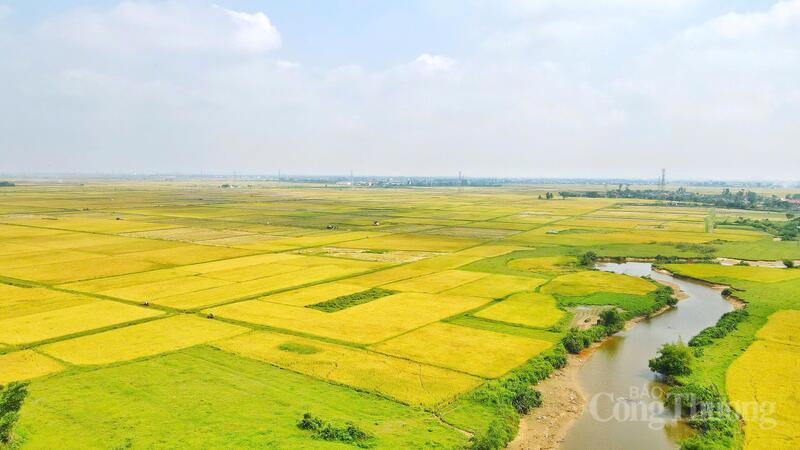 Theo khung lịch thời vụ, ngay sau khi thu hoạch lúa Xuân, bà con nông dân sẽ phải khẩn trương làm đất, vệ sinh đồng ruộng để xuống giống vụ Hè - Thu.