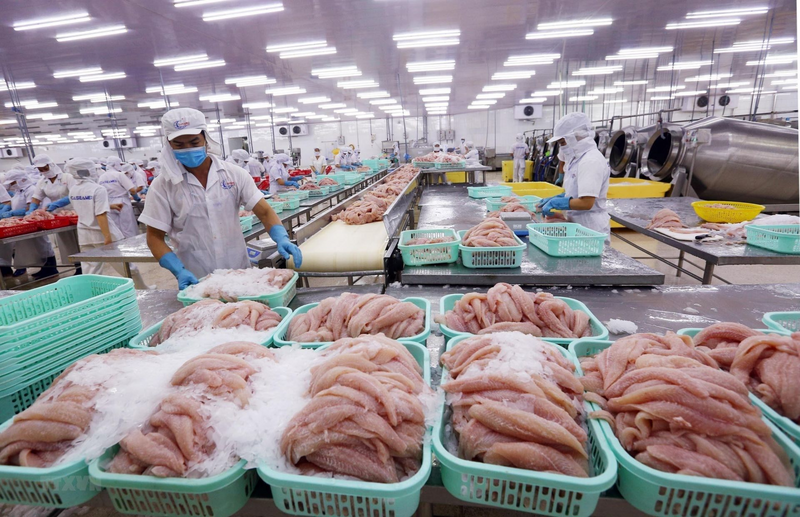 Cá đạt 2.214,5 nghìn tấn, tăng 2,5%; tôm đạt 368,6 nghìn tấn, tăng 6,6%; thủy sản khác đạt 458,8 nghìn tấn, tăng 2,9%. Ảnh minh họa