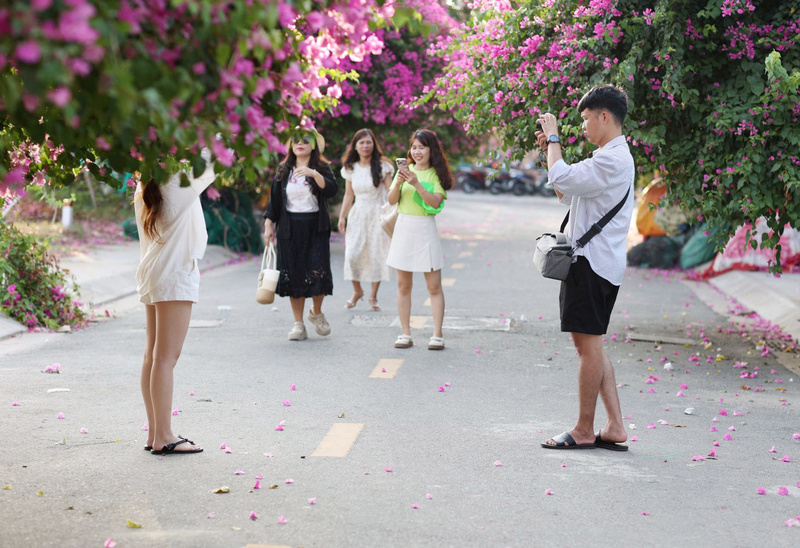 Các bạn trẻ tìm đến con đường hoa giấy để check-in.