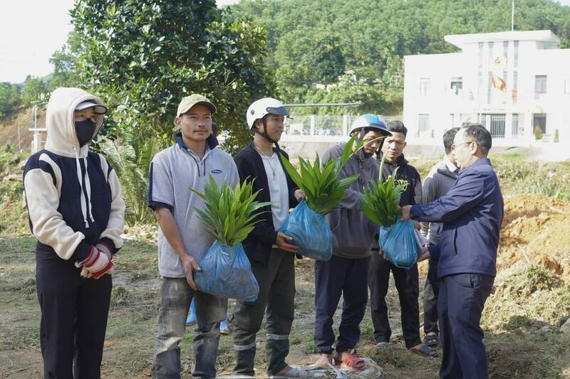 Cấp phát cây cau giống hỗ trợ người dân trên địa bàn xã Trà Đốc. Ảnh: Diễm Phúc