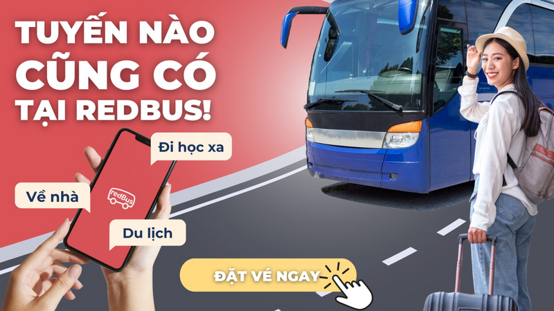 Các nền tảng đặt vé xe khách đã thay đổi hành trình người dùng ra sao? - 2