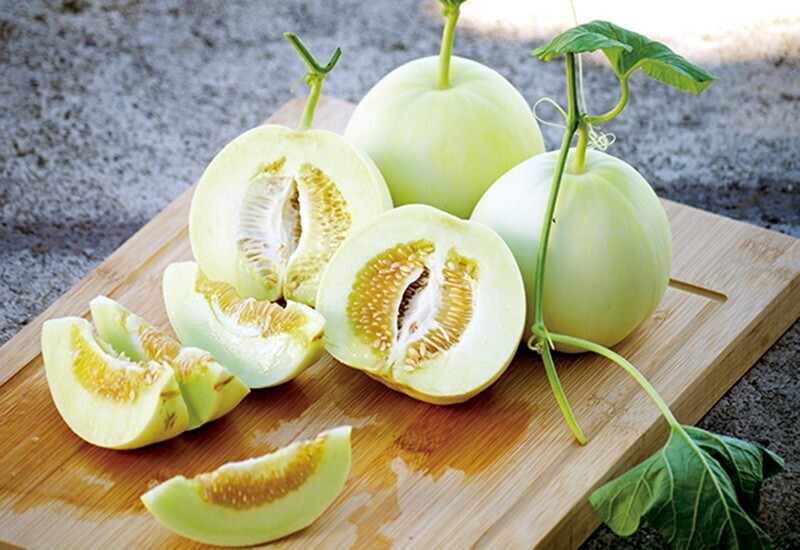 Giá dưa lê dao động từ 25.000 - 30.000 đồng/kg. Ảnh minh hoạ