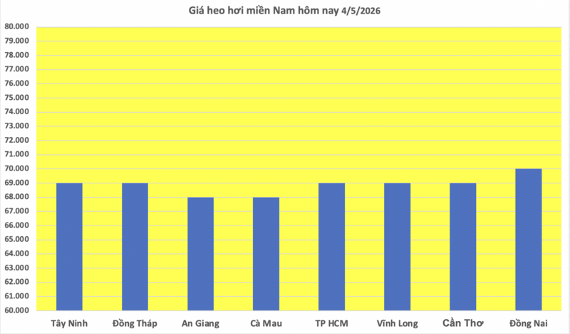 Giá heo hơi hôm nay 4/5/2026: Chạm mốc 70.000 đồng/kg - 3