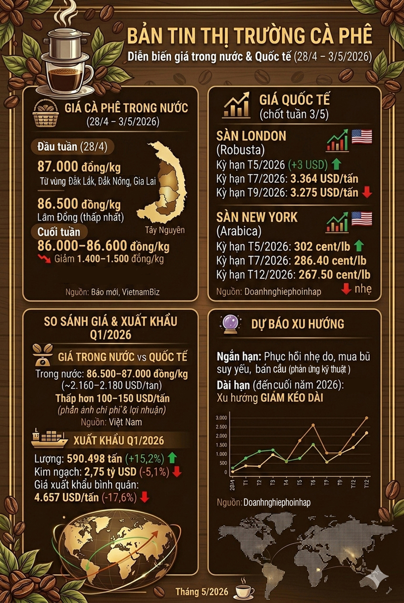 Infographic | Tổng quan giá cà phê trong nước từ 28/4 đến 3/5/2026 - 1