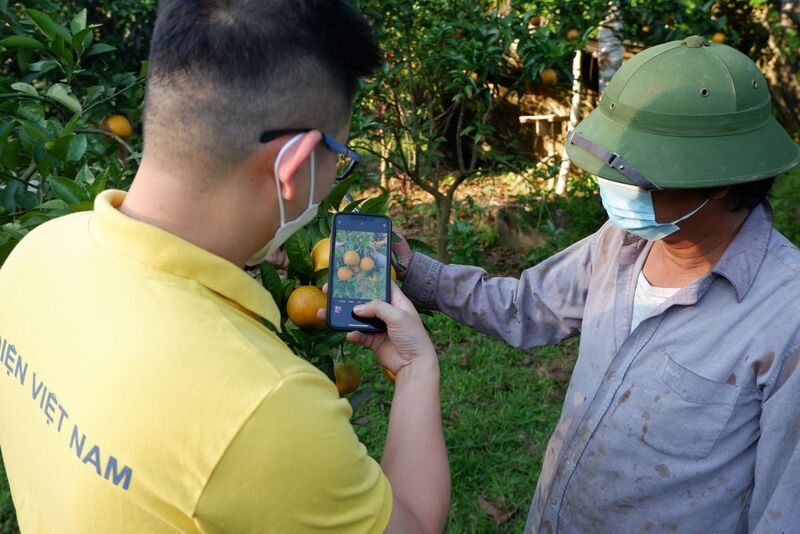 Nhiều hợp tác xã vẫn gặp khó khăn trong việc tham gia thương mại điện tử do thiếu kỹ năng về năng lực số. Ảnh minh hoạ