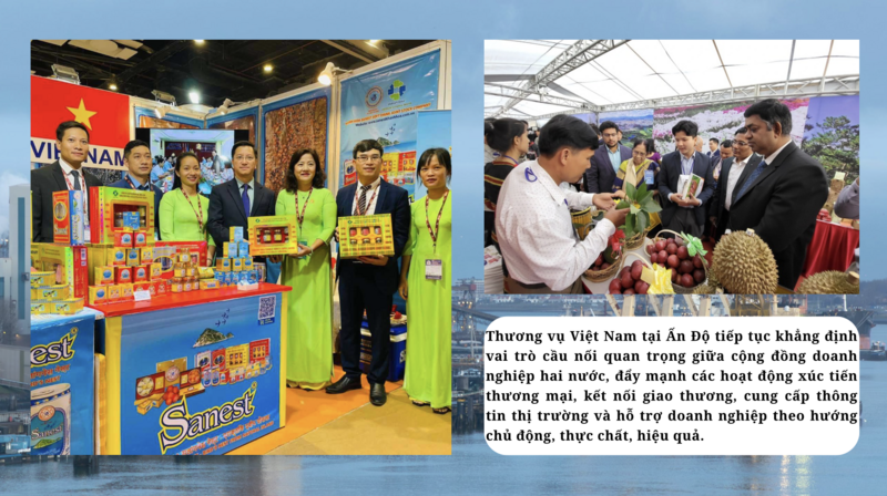 Thúc đẩy hợp tác kinh tế Việt Nam - Ấn Độ lên tầm cao mới - 3