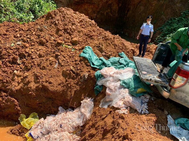 Lực lượng Quản lý thị trường tỉnh Cao Bằng tiêu hủy chân gà đông lạnh nhập lậu, không rõ nguồn gốc.