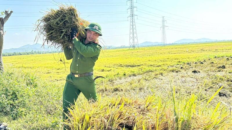 Trận dông lốc, mưa đá đầu tháng 5 đã gây thiệt hại nặng nề về tài sản và sản xuất nông nghiệp trên địa bàn tỉnh Hà Tĩnh. Theo Ban Chỉ huy Phòng thủ dân sự tỉnh Hà Tĩnh, trận dông lốc kèm mưa đá xảy ra vào chiều và tối ngày 3/5 đã khiến hơn 5.818 ha lúa vụ Xuân bị đổ ngã, hư hỏng; 8,6 ha ngô bị ảnh hưởng.