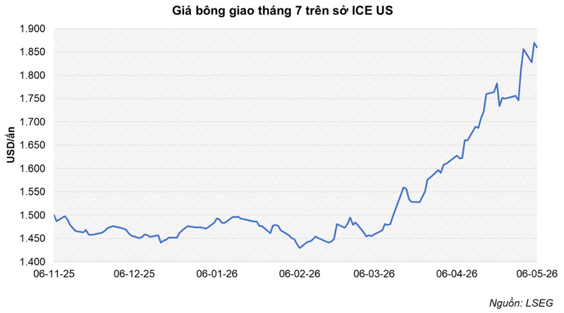 Giá bông giao tháng 7 trên Sở ICE US. Nguồn: MXV