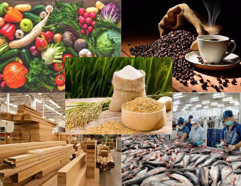 Nhiều mặt hàng chủ lực của ngành nông, lâm, thủy sản liên tục bị đưa vào tầm ngắm điều tra chống bán phá giá hoặc chống trợ cấp tại các thị trường khó tính như Hoa Kỳ và Ấn Độ.