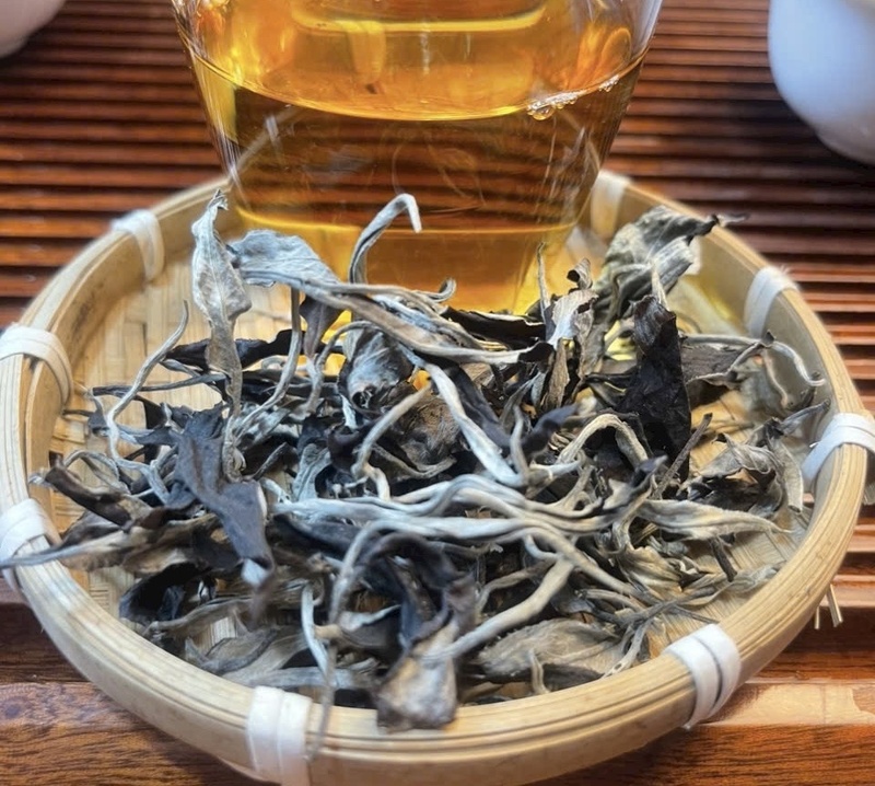 Những búp chè cổ thụ quý hiếm từ các xã Cao Bồ, Túng Sán... được anh Lầu lựa chọn kỹ càng để tạo ra dòng sản phẩm cao cấp.