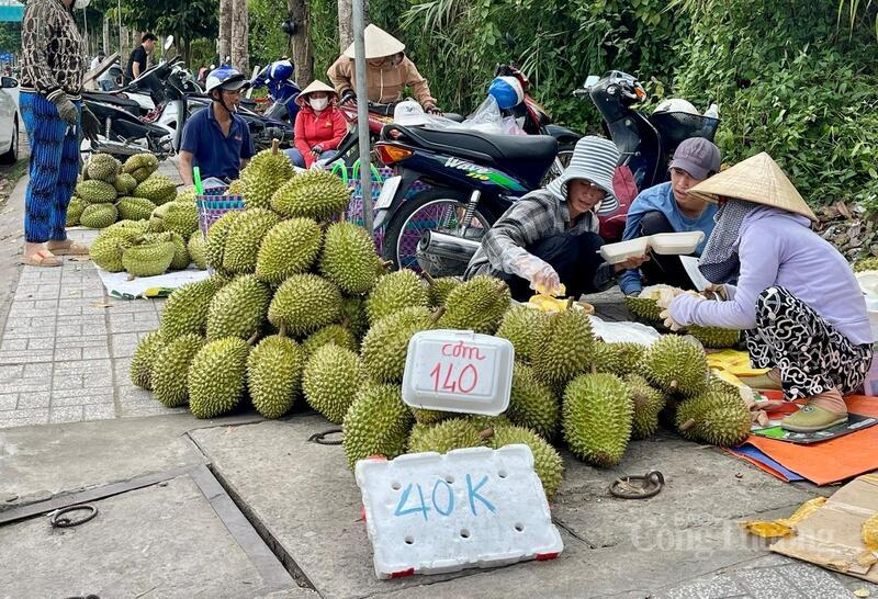 Phần lớn sầu riêng bán ven đường là Ri6 loại 2. Ảnh: Khánh Ngọc