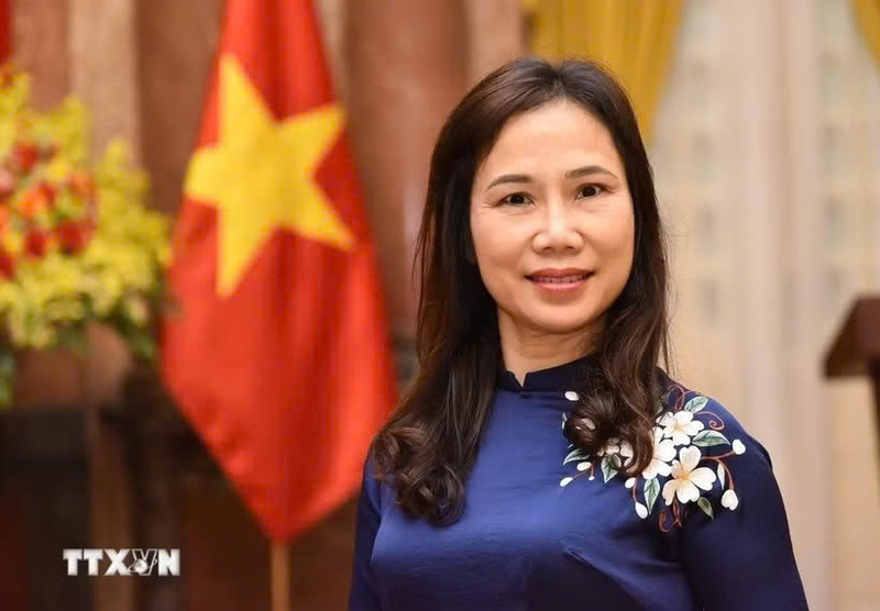 Đại sứ Việt Nam tại Sri Lanka Trịnh Thị Tâm. (Ảnh: Ngọc Thúy/TTXVN)