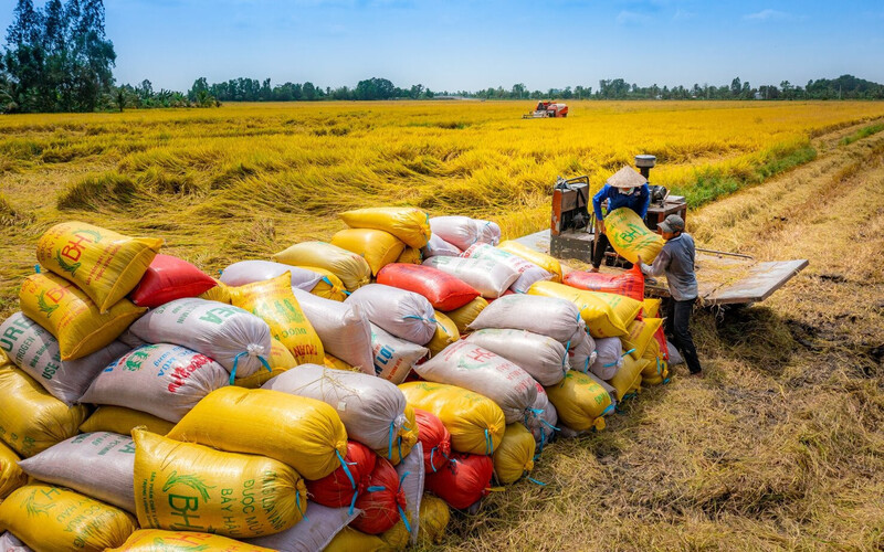 An ninh lương thực ASEAN trước phép thử mới - 1