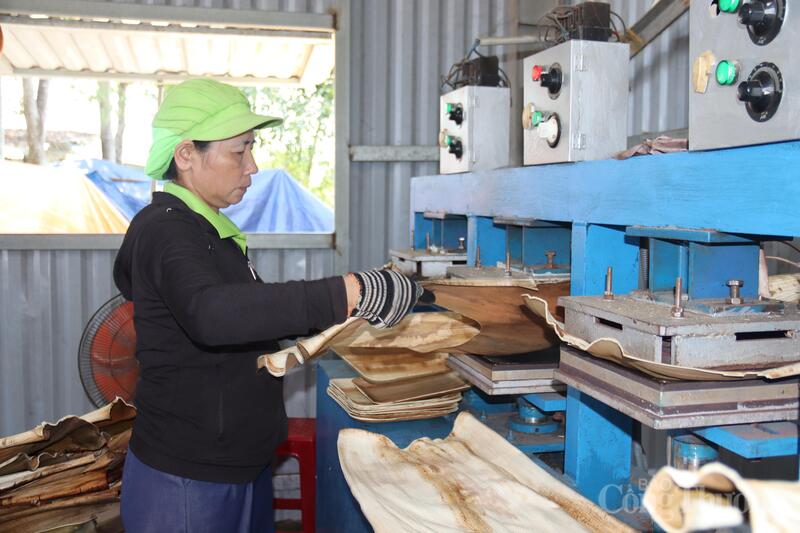 Mo cau sau khi mua về sẽ ngâm nước, xịt rửa các chất bụi bẩn rồi đem sấy khô, đưa vào máy tạo hình để cho ra sản phẩm. Ảnh: Nguyễn Dương