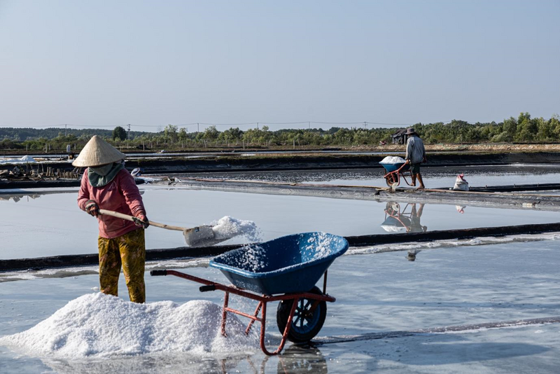Giữa cánh đồng muối trắng xoá, những nhát xẻ muối đều tay nối dài theo ánh nắng, từng hạt muối trắng là kết tinh từ mồ hôi người lao động. Ảnh: Hà Trang