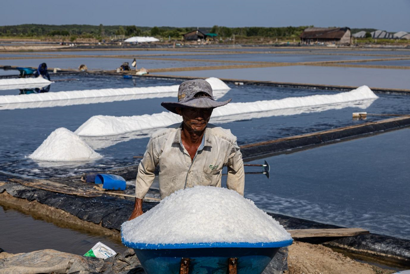 Những diêm dân bận rộn với công việc của mình. Ảnh: Hà Trang