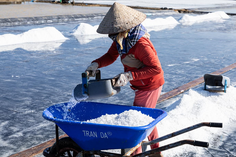 Cách “chống nóng” của diêm dân bao đời nay vẫn giản dị: thêm chiếc áo dài tay, quấn khăn kín mặt, đội khăn ướt dưới vành nón để bám trụ giữa nắng gắt. Ảnh: Hà Trang