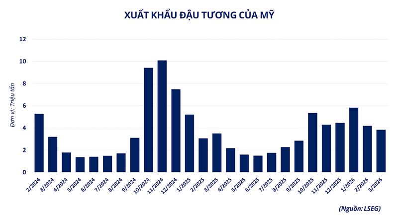 Xuất khẩu đậu tương của Mỹ. Ảnh minh hoạ