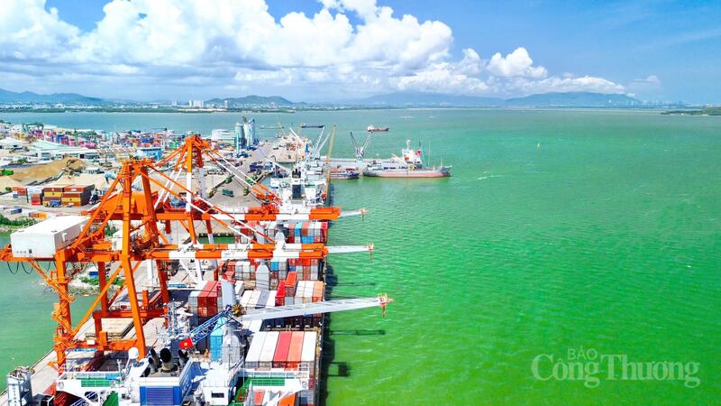 Gia Lai đang hình thành một “trục phát triển” mới, nơi rừng và biển không còn tách rời, mà kết nối chặt chẽ để tạo động lực cho công nghiệp, thương mại, logistics và du lịch cùng cất cánh. Ảnh: Hiền Mai