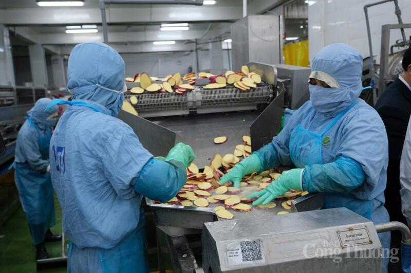 Chỉ số sản xuất công nghiệp (IIP) của Lâm Đồng ước tăng 4,79% so với cùng kỳ năm trước, vượt xa mức tăng của khu vực Tây Nguyên trung bình (khoảng 3,2%) trong năm 2025. Ảnh: Lê Sơn