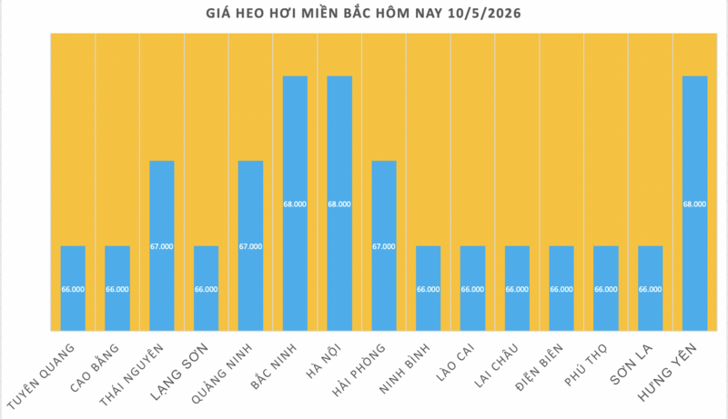 Giá heo hơi hôm nay 10/5/2026: Vượt mốc 70.000 đồng  - 1