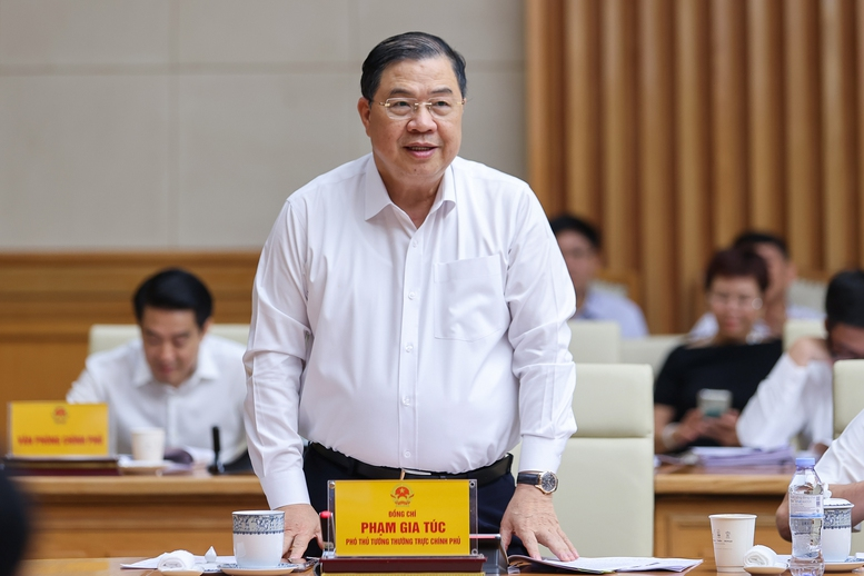 Phó Thủ tướng Thường trực Chính phủ Phạm Gia Túc phát biểu - Ảnh: VGP/Nhật Bắc