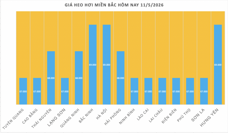 Giá heo hơi hôm nay 11/5/2026: Tăng diện rộng tại miền Bắc - 1