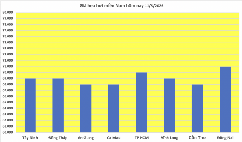 Giá heo hơi hôm nay 11/5/2026: Tăng diện rộng tại miền Bắc - 3