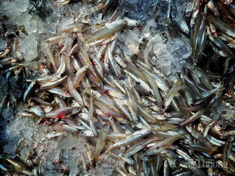 Quy trình sản xuất của thương hiệu nước mắm đạt OCOP 5 sao ở Hà Tĩnh - 5