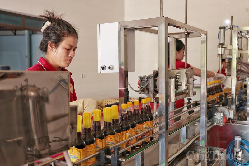 Quy trình sản xuất của thương hiệu nước mắm đạt OCOP 5 sao ở Hà Tĩnh - 14