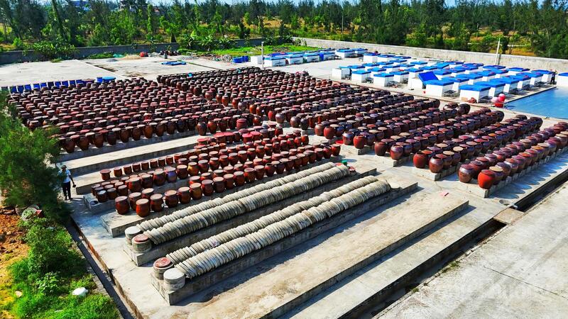 Đây là lần đầu tiên Hà Tĩnh có sản phẩm OCOP đạt ngưỡng 5 sao - cấp độ cao nhất trong hệ thống phân hạng, khẳng định sự đầu tư bài bản từ khâu sản xuất, chế biến đến xây dựng thương hiệu và phát triển thị trường.