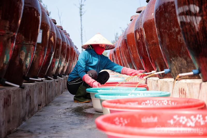Anh Đặng Đình Minh, đại diện HTX Thu mua và Chế biến thủy hải sản Chiến Thắng cho biết, vài ngày sau khi ủ, khi trong chum đã có nước bổi (có thành phần đạm, nhưng có mùi tanh, chưa ăn được), ngày nào cũng phải đảo nhằm kích thích quá trình chượp nhanh phân giải thành đạm nước mắm.