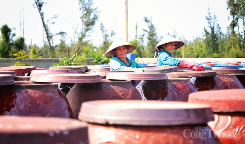 Quy trình sản xuất của thương hiệu nước mắm đạt OCOP 5 sao ở Hà Tĩnh - 10