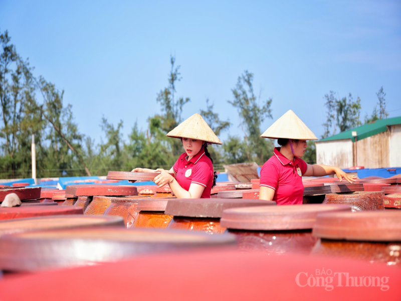 Quy trình sản xuất của thương hiệu nước mắm đạt OCOP 5 sao ở Hà Tĩnh - 4