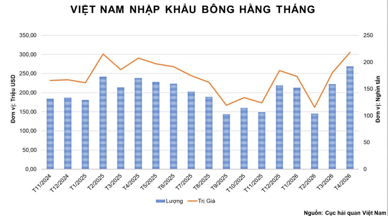 Việt Nam nhập khẩu bông hằng tháng. Nguồn: MXV