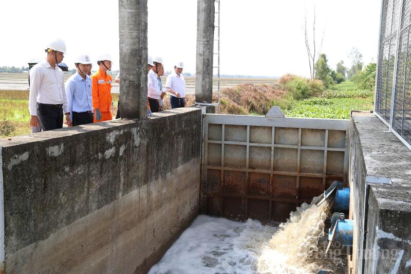 Điện lực Cần Thơ bảo đảm cung cấp điện an toàn, ổn định trong mùa khô và giai đoạn cao điểm hạn hán, xâm nhập mặn.