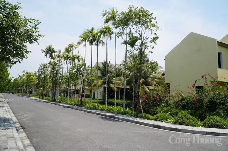 Các dự án bất động sản phía Nam Đà Nẵng được định hướng phát triển xanh, bền vững