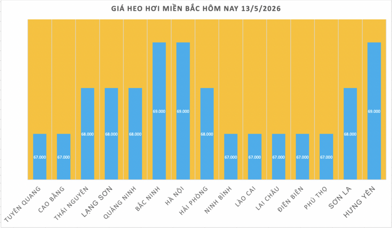 Giá heo hơi hôm nay 13/5/2026: Tăng vài nơi tại miền Bắc, miền Trung - 1
